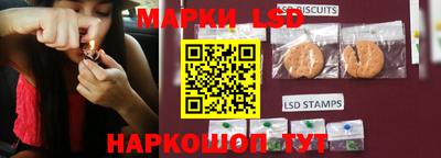 apvp Краснодар