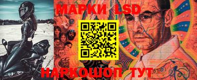 apvp Краснодар