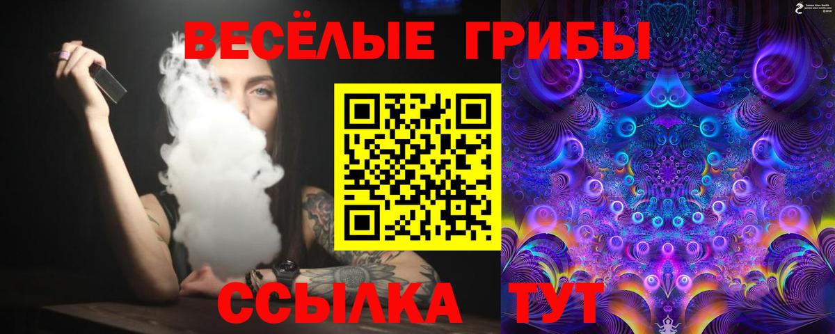 Псилоцибиновые грибы GOLDEN TEACHER  Псилоцибиновые грибы Cubensis  Вход с VPN  Камышлов 
